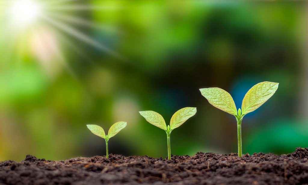 Intelligent Fast Plant-Environment Screening system